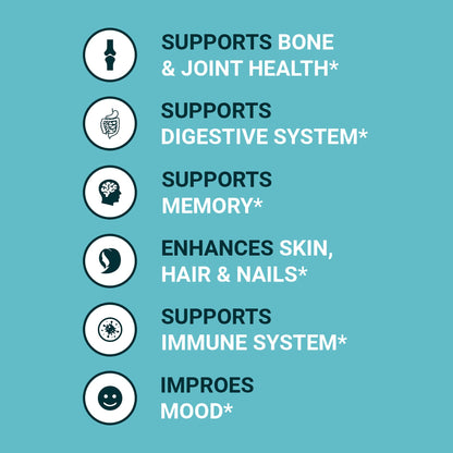 Zammex Bone Broth Protein Powder – Grass-Fed Vanilla, 10g Protein, Non-GMO