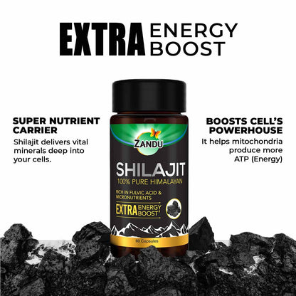 Zandu Shilajit Capsules (60 Caps) – Natural Energy, Stress Support & Immunity
