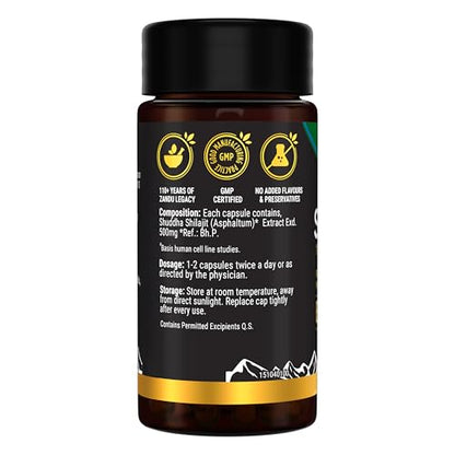 Zandu Shilajit Capsules (60 Caps) – Natural Energy, Stress Support & Immunity