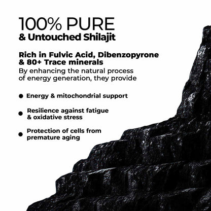 Zandu Shilajit Capsules (60 Caps) – Natural Energy, Stress Support & Immunity