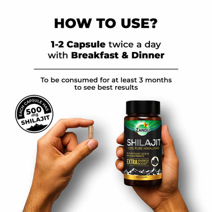 Zandu Shilajit Capsules (60 Caps) – Natural Energy, Stress Support & Immunity