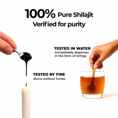 Zandu Shilajit Capsules (60 Caps) – Natural Energy, Stress Support & Immunity