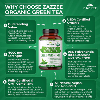 Zazzee USDA Organic Green Tea Extract 6000 mg (20:1) – 120 Capsules, 4 Month Supply, 50% EGCG, 80% Catechins, 98% Polyphenols, Non-GMO