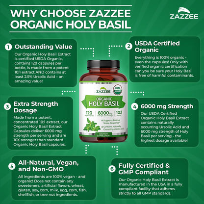 Zazzee Organic Holy Basil 6000 mg | 10:1 Extract, 120 Veg Caps