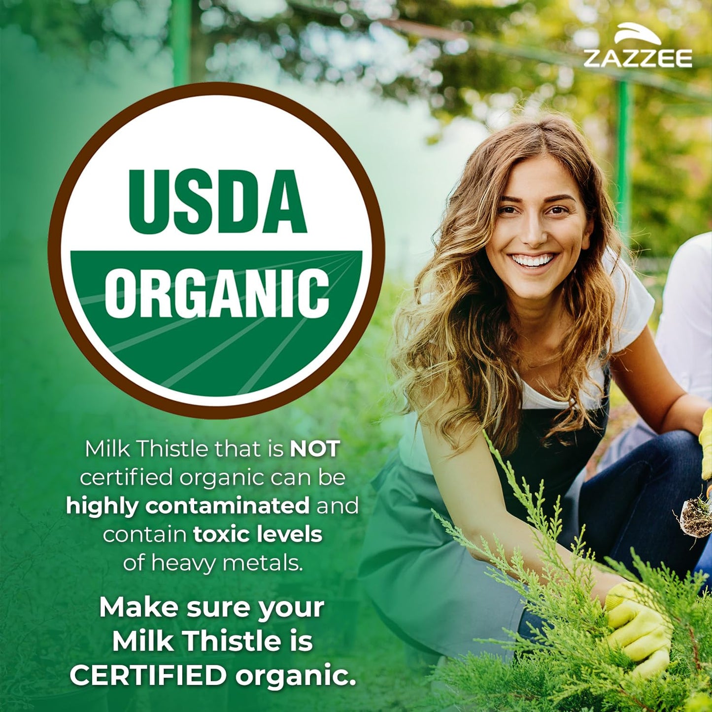 Zazzee USDA Organic Milk Thistle 30:1 Extract – 7500 mg, 90 Vegan Capsules, USA Made
