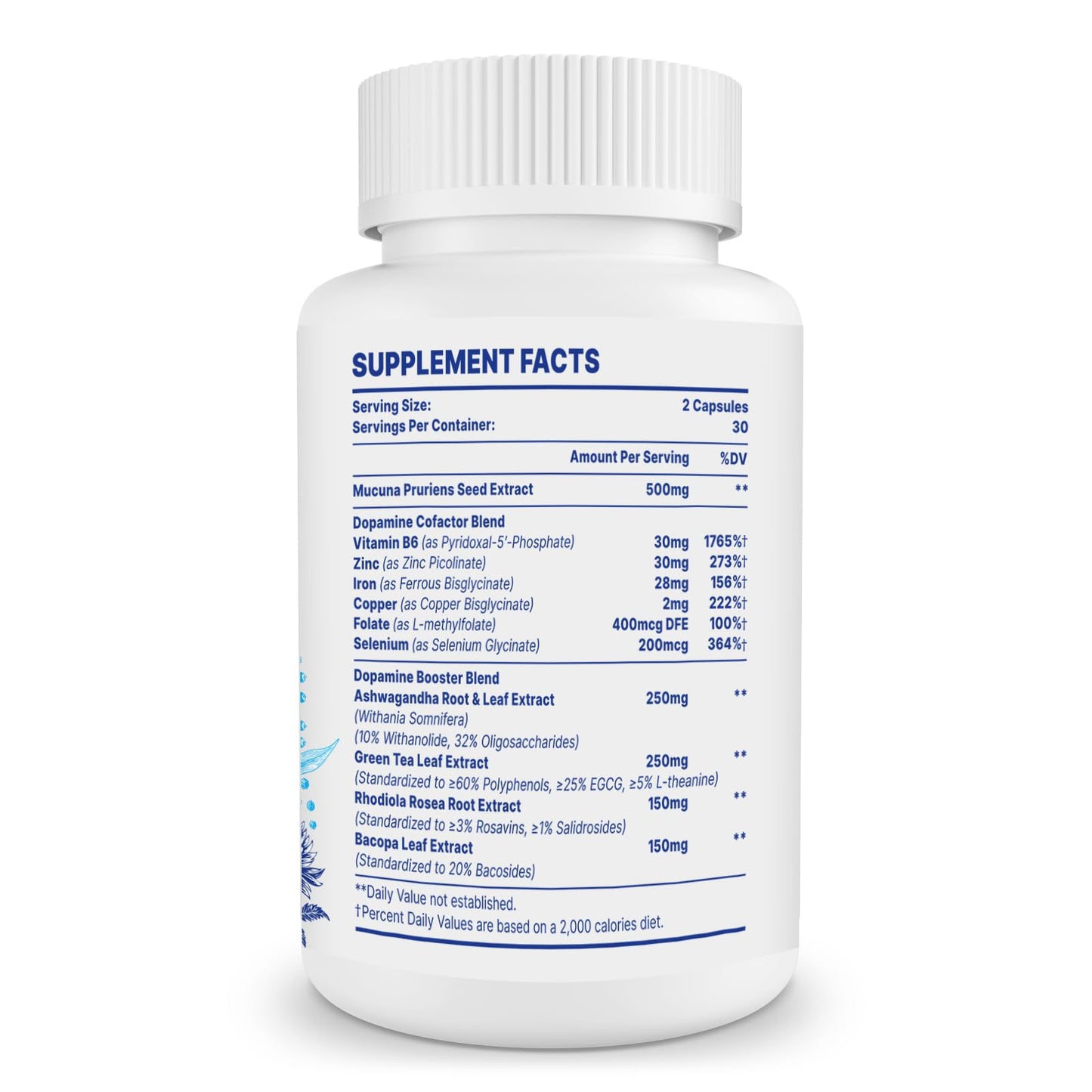 Zdoroviye Dopamine Supplements for Men & Women – 500mg Mucuna Pruriens (40% L-DOPA), 60 Capsules (2 Pack)