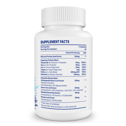 Zdoroviye Dopamine Supplements for Men & Women – 500mg Mucuna Pruriens (40% L-DOPA), 60 Capsules (2 Pack)