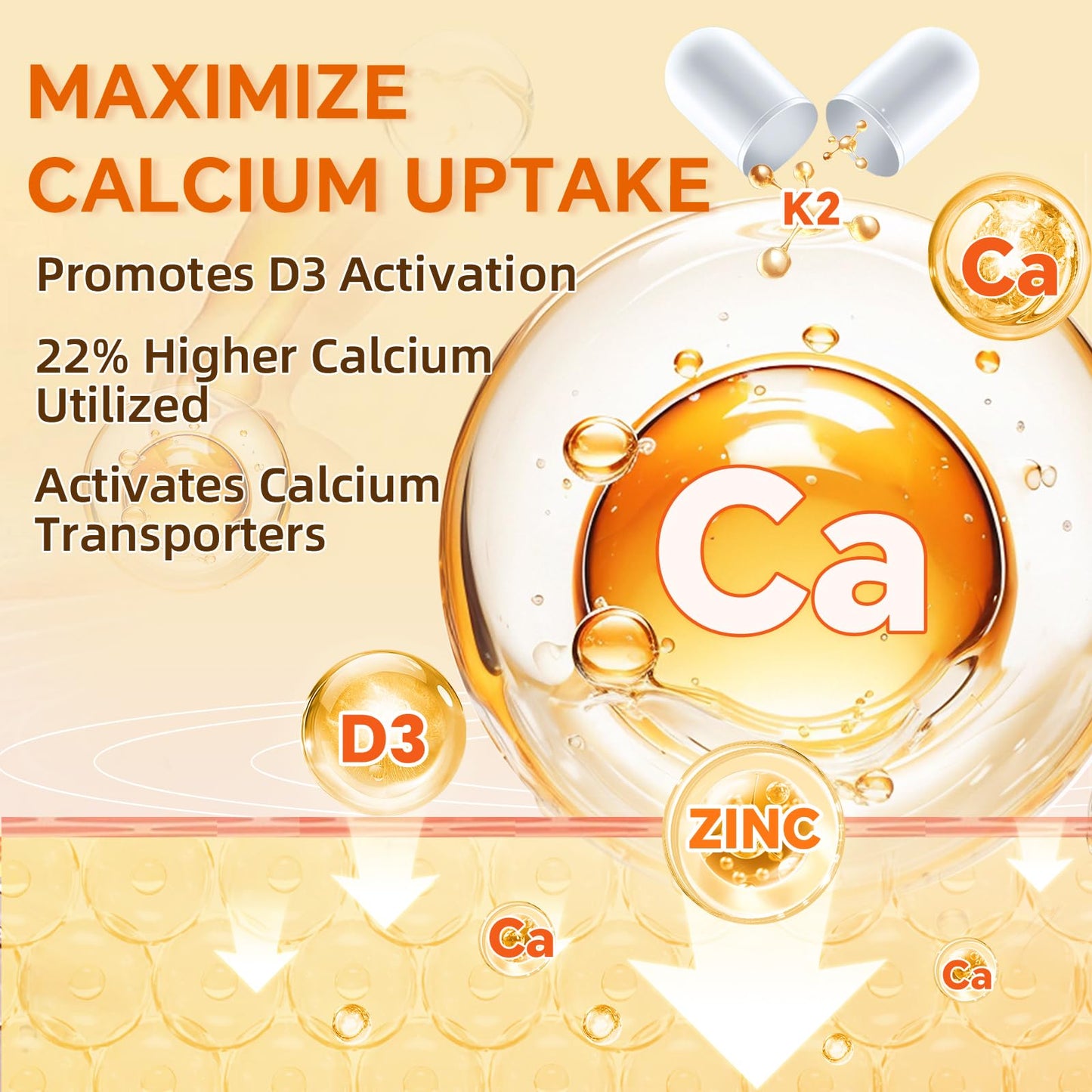 ZEBORA Vitamin D3+K2 5000 IU (MK-7 100 mcg) - 120 Capsules