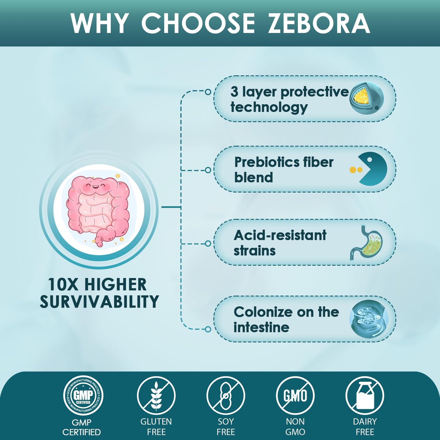 ZEBORA Probiotics for Men with Prebiotics – 60B CFU, 10 Strains, 90 Tablets (Pack of 2)