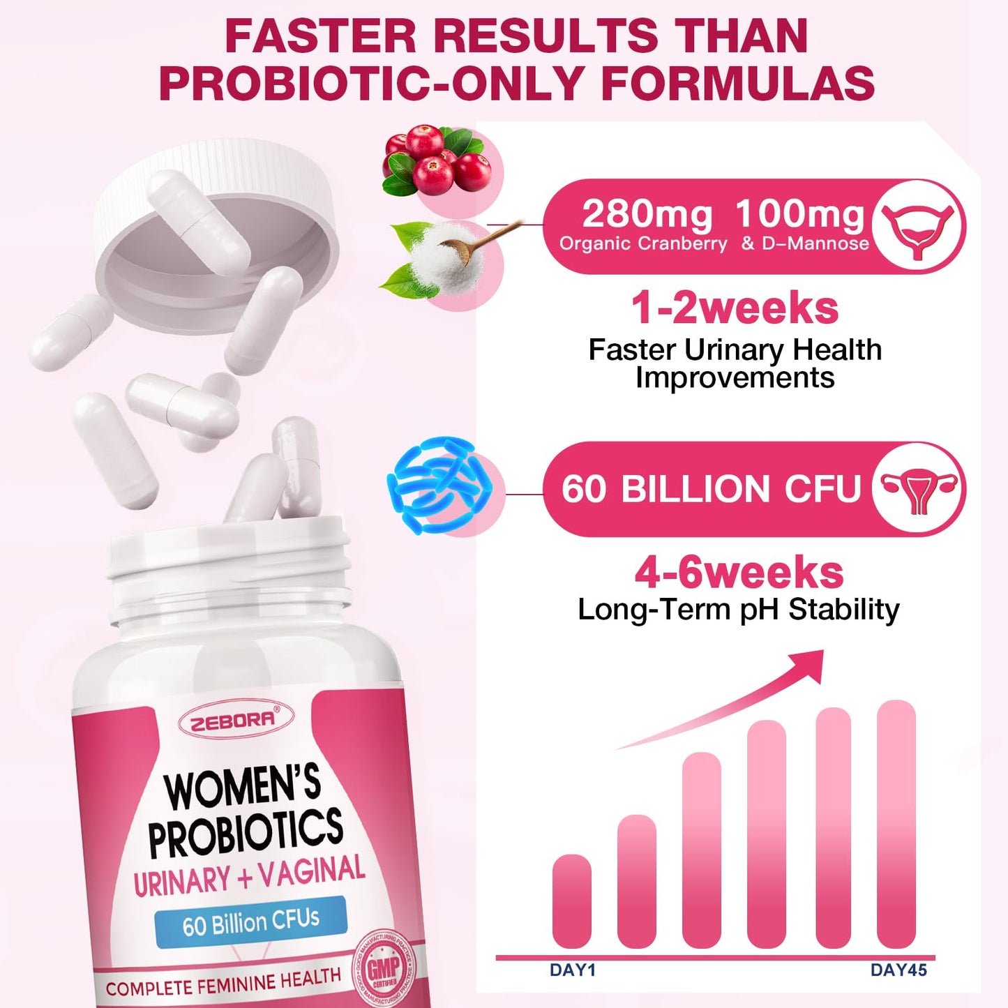 ZEBORA Probiotics for Women – Cranberry, D-Mannose, Organic Prebiotics, Vitamin C | Urinary Tract & Vaginal Health | Gluten Free | 90 Vegan Capsules