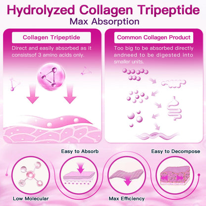 ZEBORA Multi Collagen Peptides Powder 50 Servings – Hydrolyzed Collagen Types I, II, III, V & X with Hyaluronic Acid, Biotin & Vitamin C