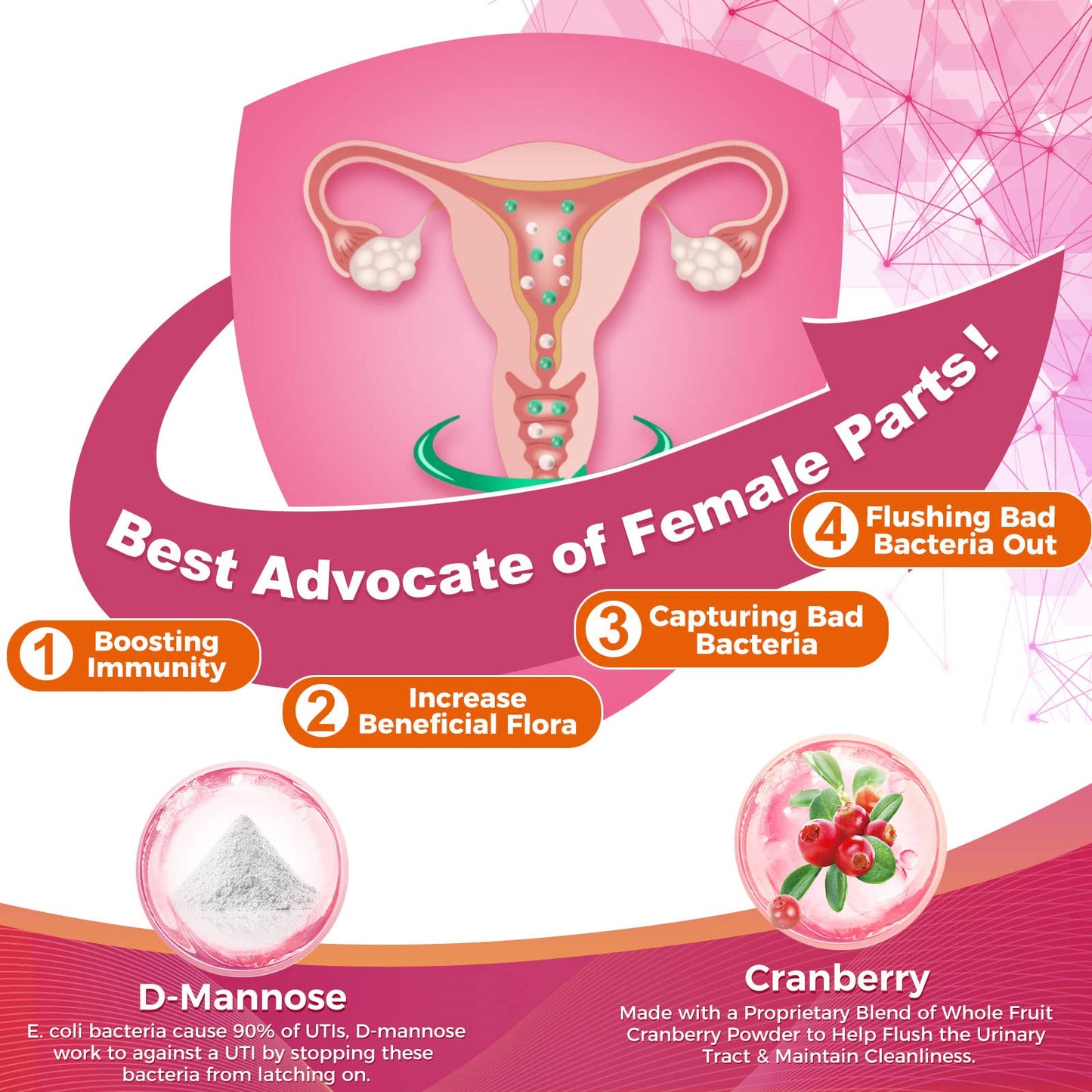 ZEBORA Probiotics for Women | 100B CFUs, Prebiotics, D-Mannose & Cranberry, 45 Packets