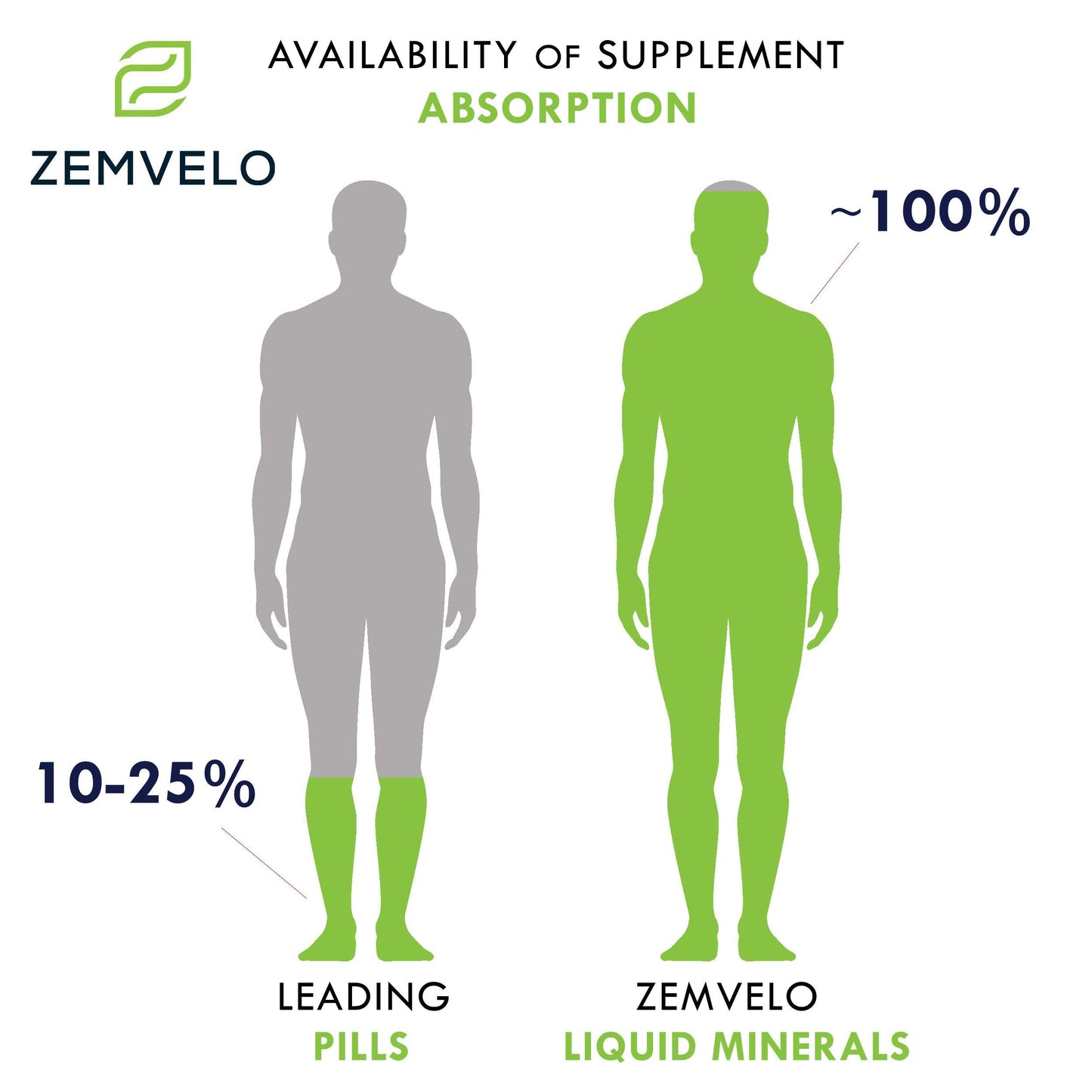 Zemvelo Liquid Ionic Silica - Hair, Skin & Nails Nutrition | Collagen & Joint Support | 8 oz