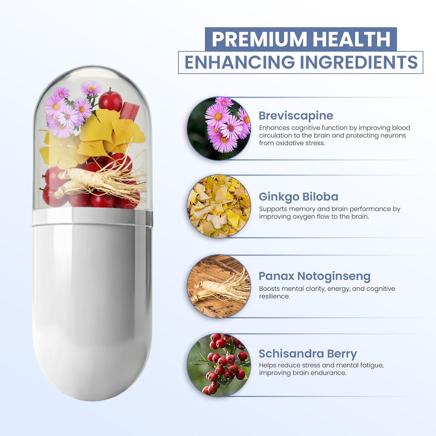 ZEN LIFE HERB IQ+ Brain - Caffeine-Free, Clinically Tested Focus, Concentration, Memory & Energy | 30 Softgels