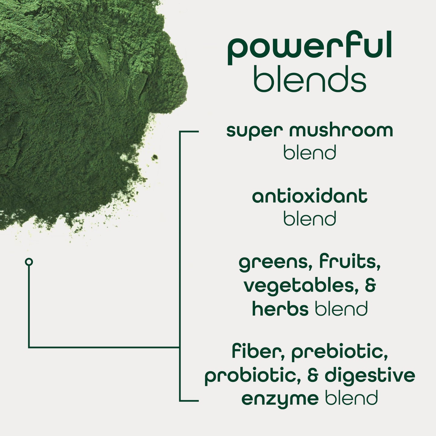 Zena Nutrition Organic Super Greens Powder – 70+ Superfoods, 0 Sugar