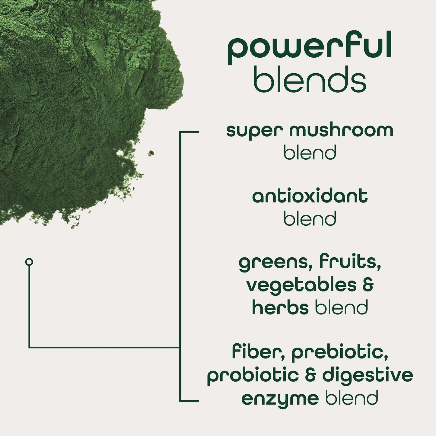 Zena Nutrition Organic Super Greens Variety Pack – 70+ Superfoods, 0 Sugar