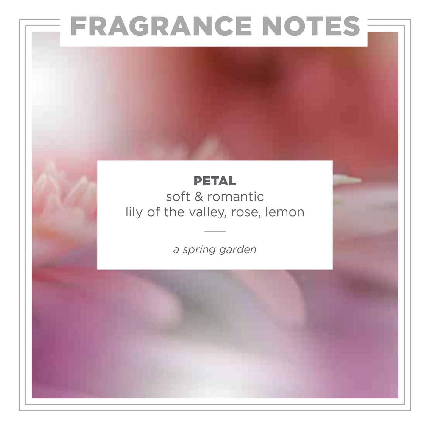 Zents Attar Fragrance Concentrate (Petal) | Roll-On Perfume & Aromatherapy | Long-Lasting Scent for Travel | Natural Essential Oils | .33 oz