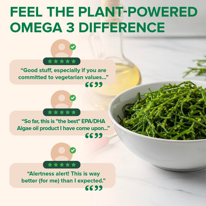 Zenwise Vegan Omega-3 Supplement – Algae-Derived EPA/DHA/DPA | Burpless, 120 Softgels