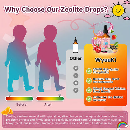 Zeolite Drops 2 Pack Detox for Kids & Adults - 300mg Clinoptilolite, 1000mcg B12, C & D3 | 10B CFU Prebiotics + Seaweed Calcium | 120ml