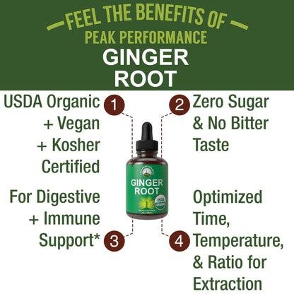 USDA Organic Ginger Root Liquid Drops – Zero Sugar, Vegan, Immune & Digestive Support