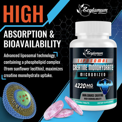 Zeylamum Creatine Chews – Liposomal Micronized Creatine Monohydrate, 30 Servings