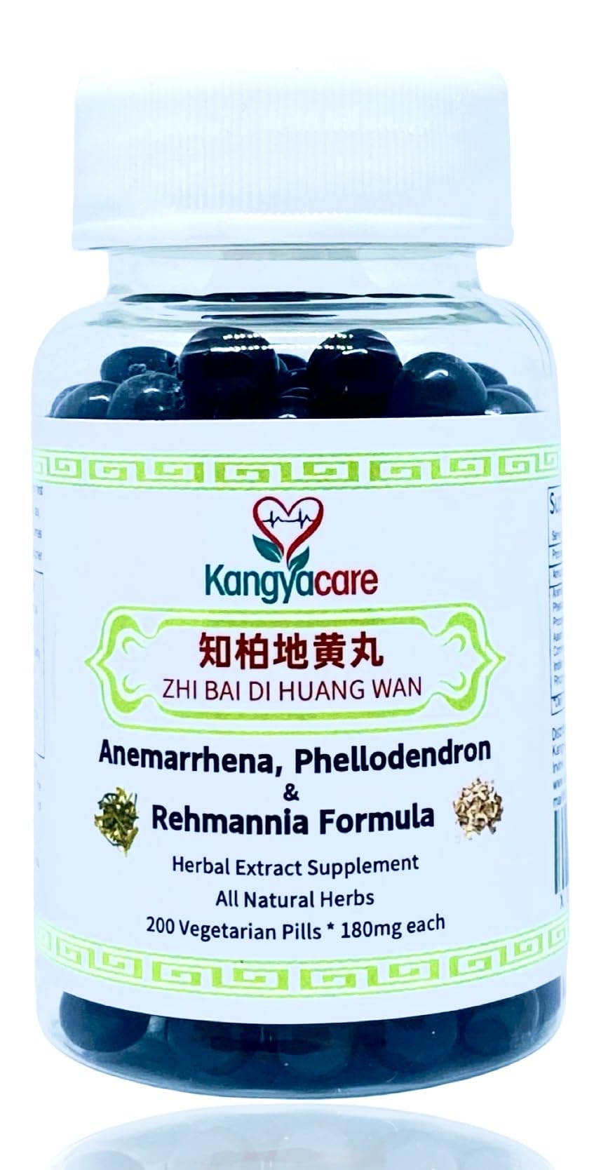 Zhi Bai Di Huang Wan 知柏地黄丸 - Nourish Yin & Lower Pathogenic Fire (200 Ct) | Anemarrhena, Phellodendron & Rehmannia Formula