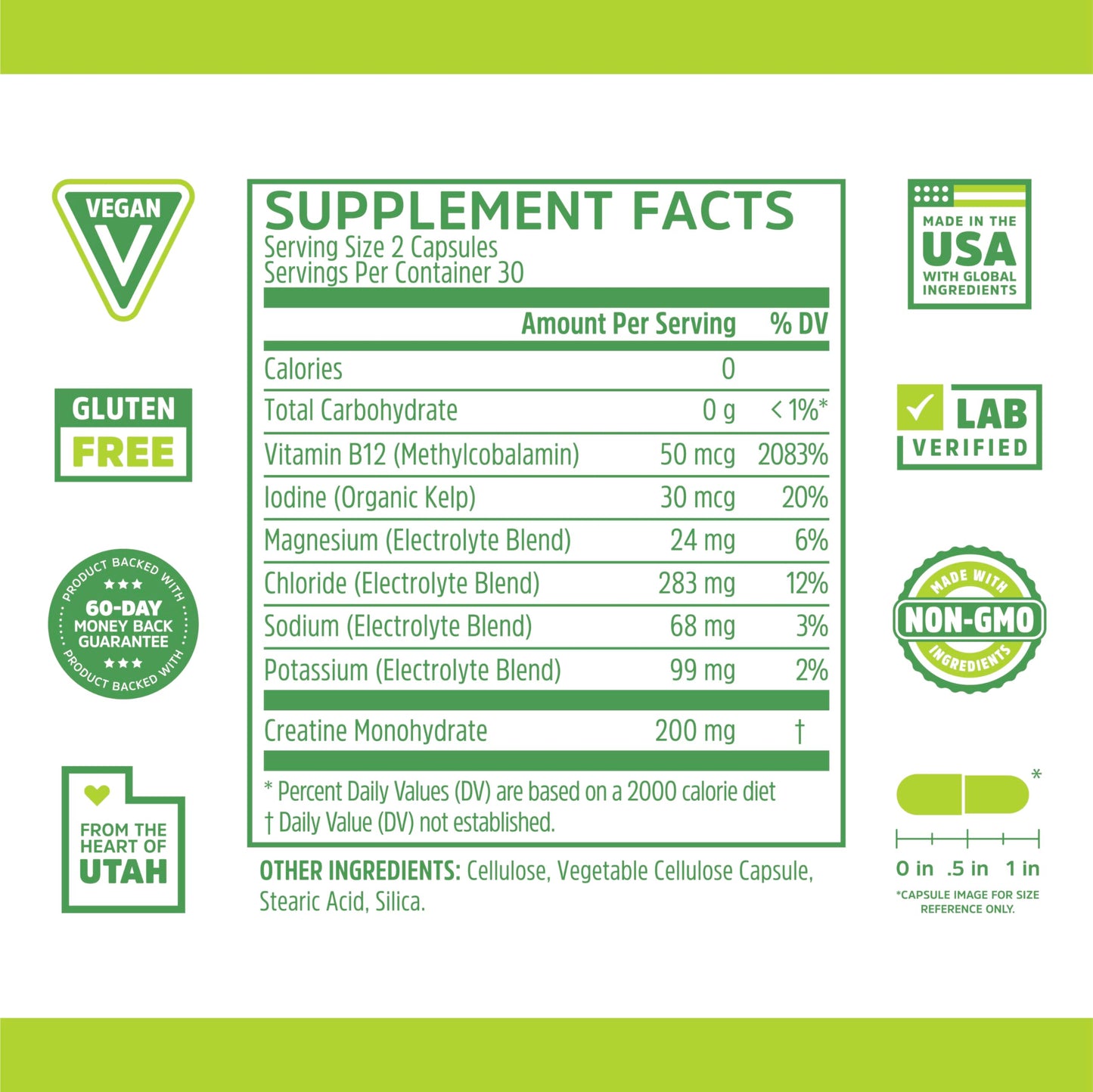 Zhou Fast Support - Fasting Electrolytes No Sugar | Intermittent Fasting Supplement | 60 Veggie Capsules
