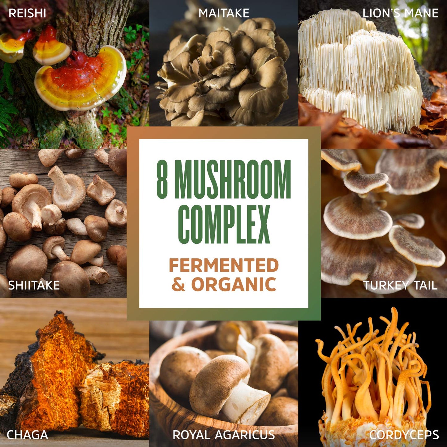 ZHOU Mushroom 8-Plex – Nootropic Mushroom Powder (30 Servings) | Coffee Alternative