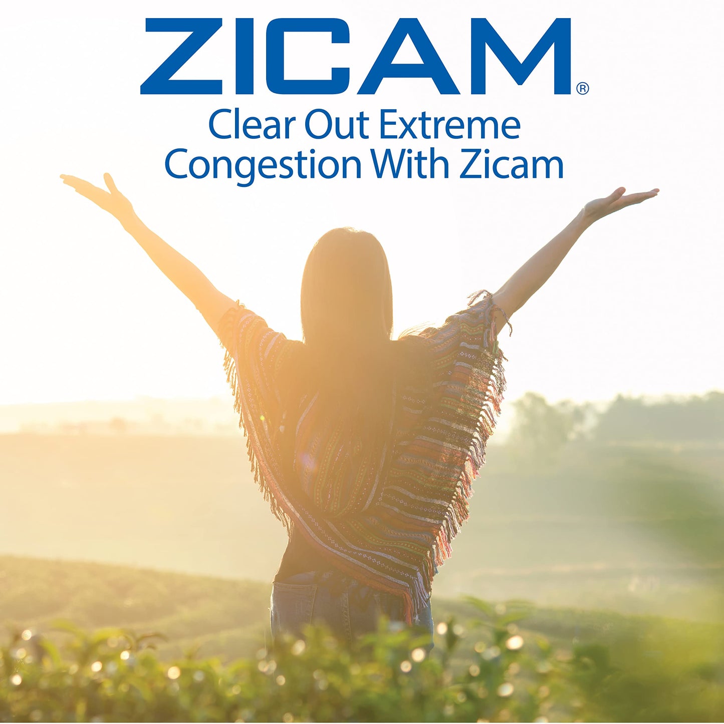 Zicam Extreme Congestion Relief No-Drip Nasal Spray with Aloe Vera | 0.5 oz Pack of 2
