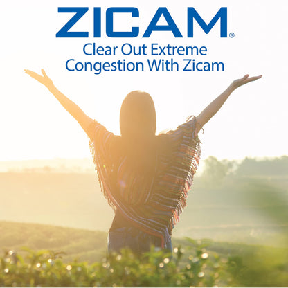 Zicam Extreme Congestion Relief No-Drip Nasal Spray with Aloe Vera | 0.5 oz Pack of 2