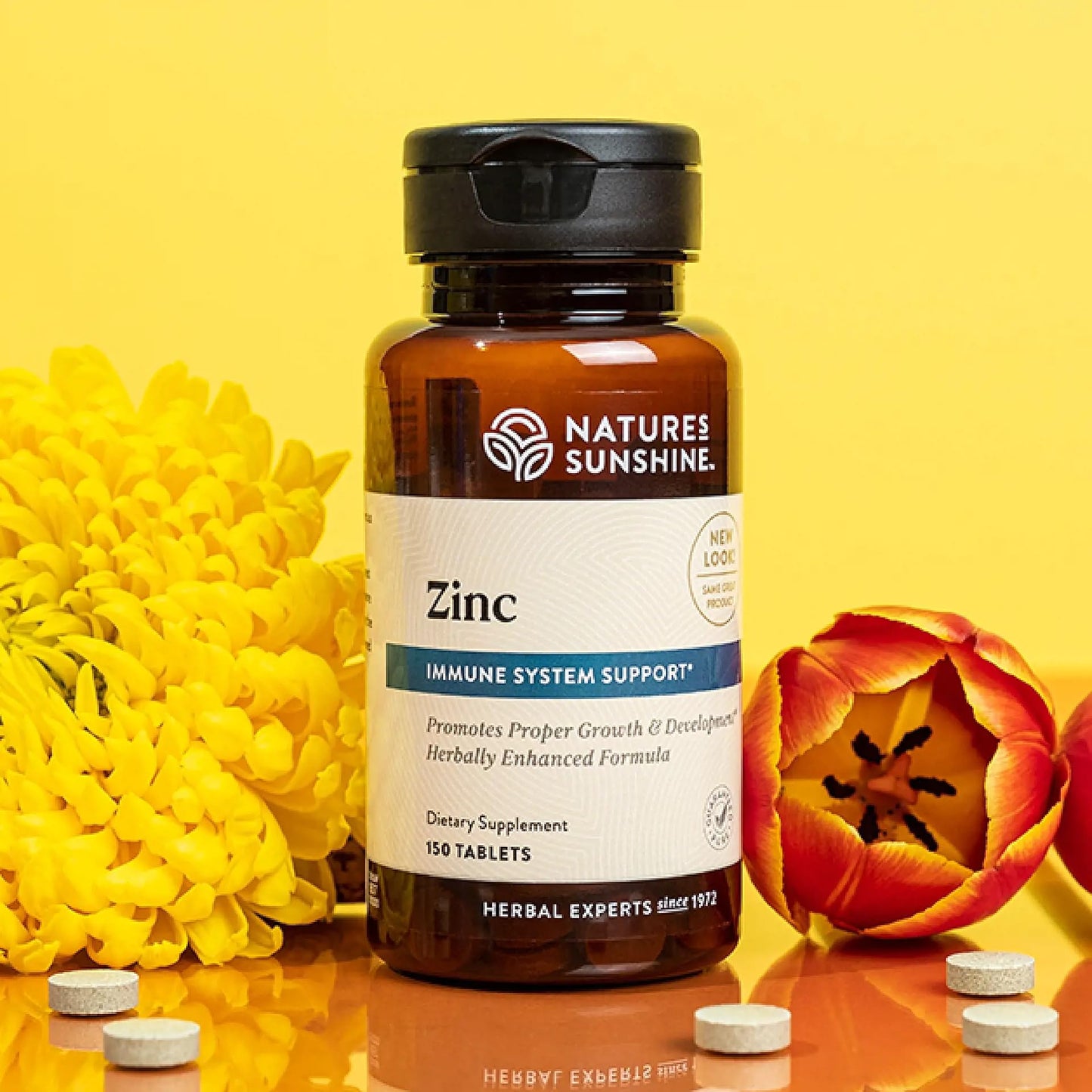 Nature's Sunshine Zinc 25mg, 150 Tablets | Immune Support with 167% DV Zinc