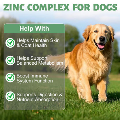 Zinc for Dogs – Skin & Coat Health, Immune Support, Digestion (200g)