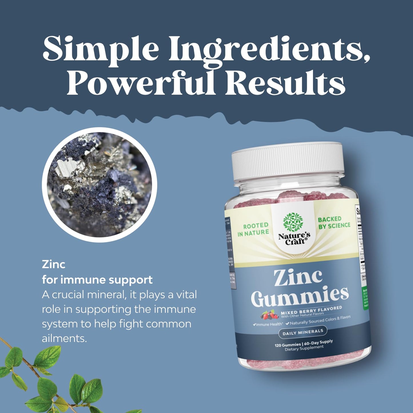 Extra Strength Zinc Gummies for Adults – Immune Support & Energy | 120 Chews