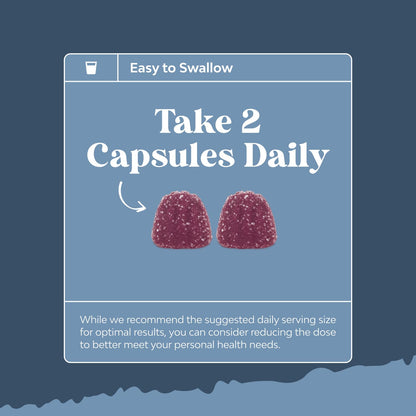 Extra Strength Zinc Gummies for Adults – Immune Support & Energy | 120 Chews