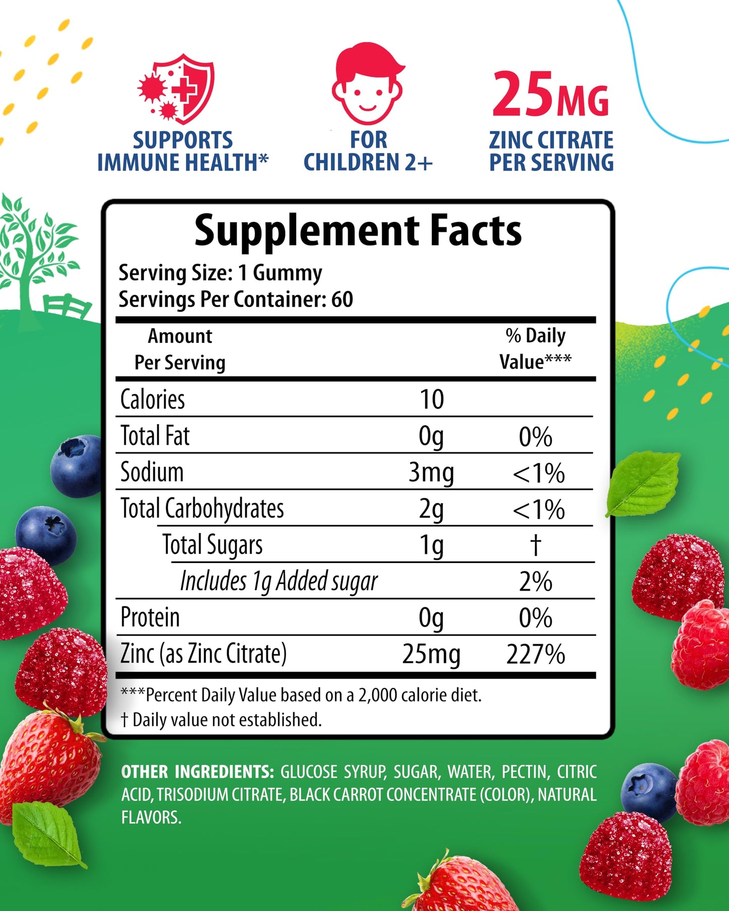 Zinc Gummies for Kids - Immune Support, Low Sugar, Non-GMO | 60 Gummies