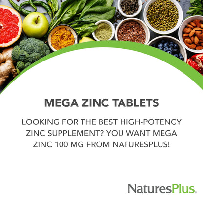 NaturesPlus Mega Zinc 100 mg - 90 Tablets | Sustained Release, Vegetarian, Gluten Free