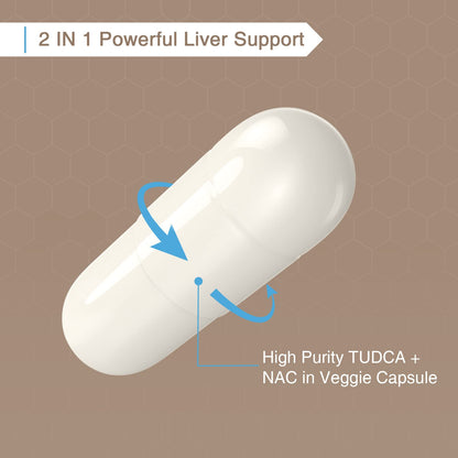 Zingicin TUDCA with NAC 1200mg - 60 Capsules | TUDCA + NAC for Liver Health