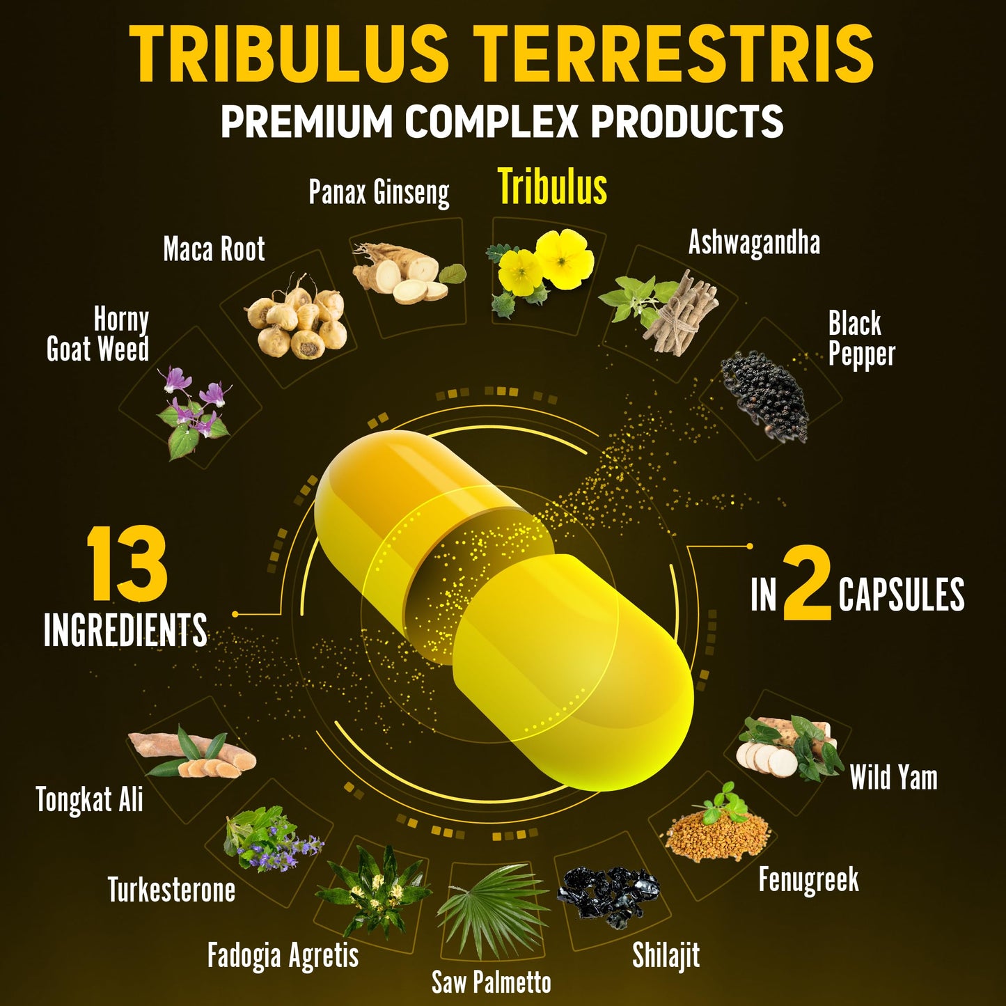 Zolotus 13in1 Tribulus Capsules with Maca, Panax Ginseng – 120 Caps