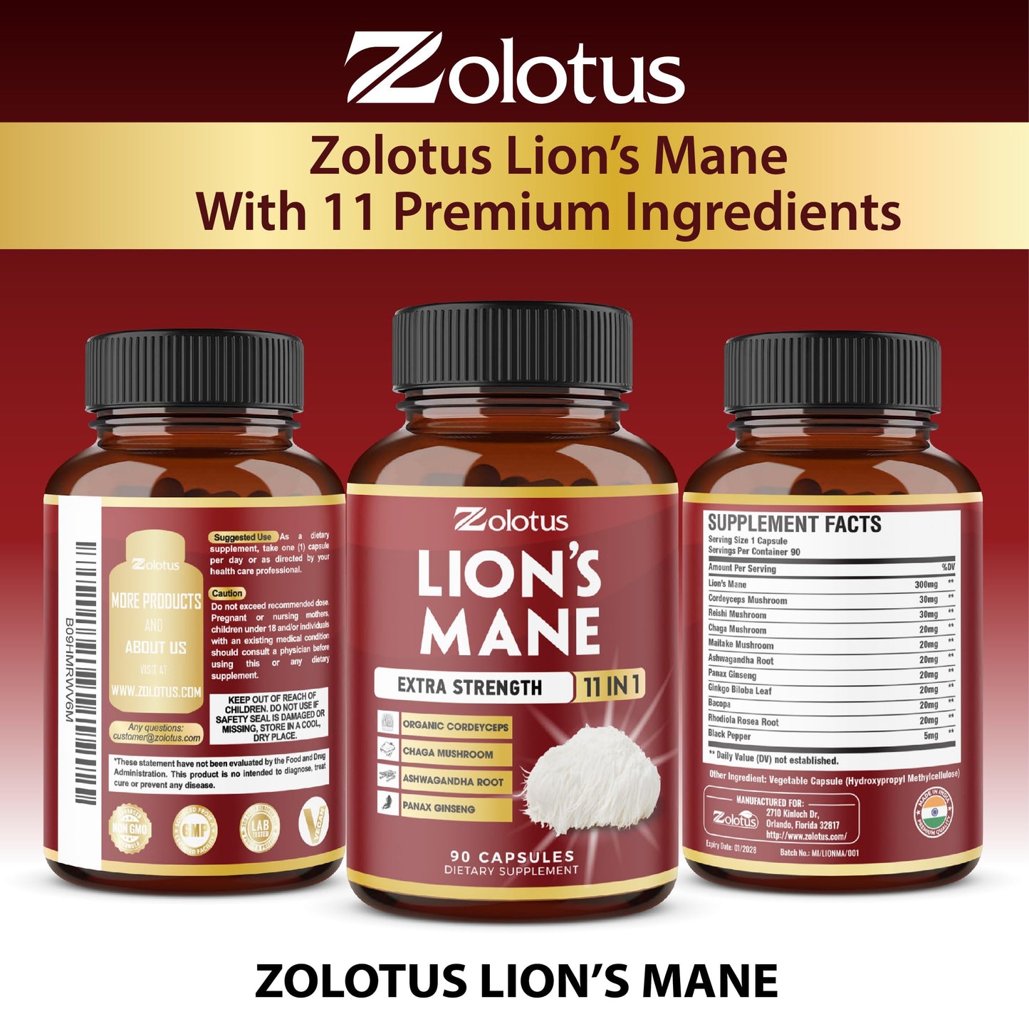 Zolotus Lions Mane Mushroom Supplement – 2 Pack (90 Capsules) with Cordeyceps, Reishi, Ashwagandha | 6 Month Supply