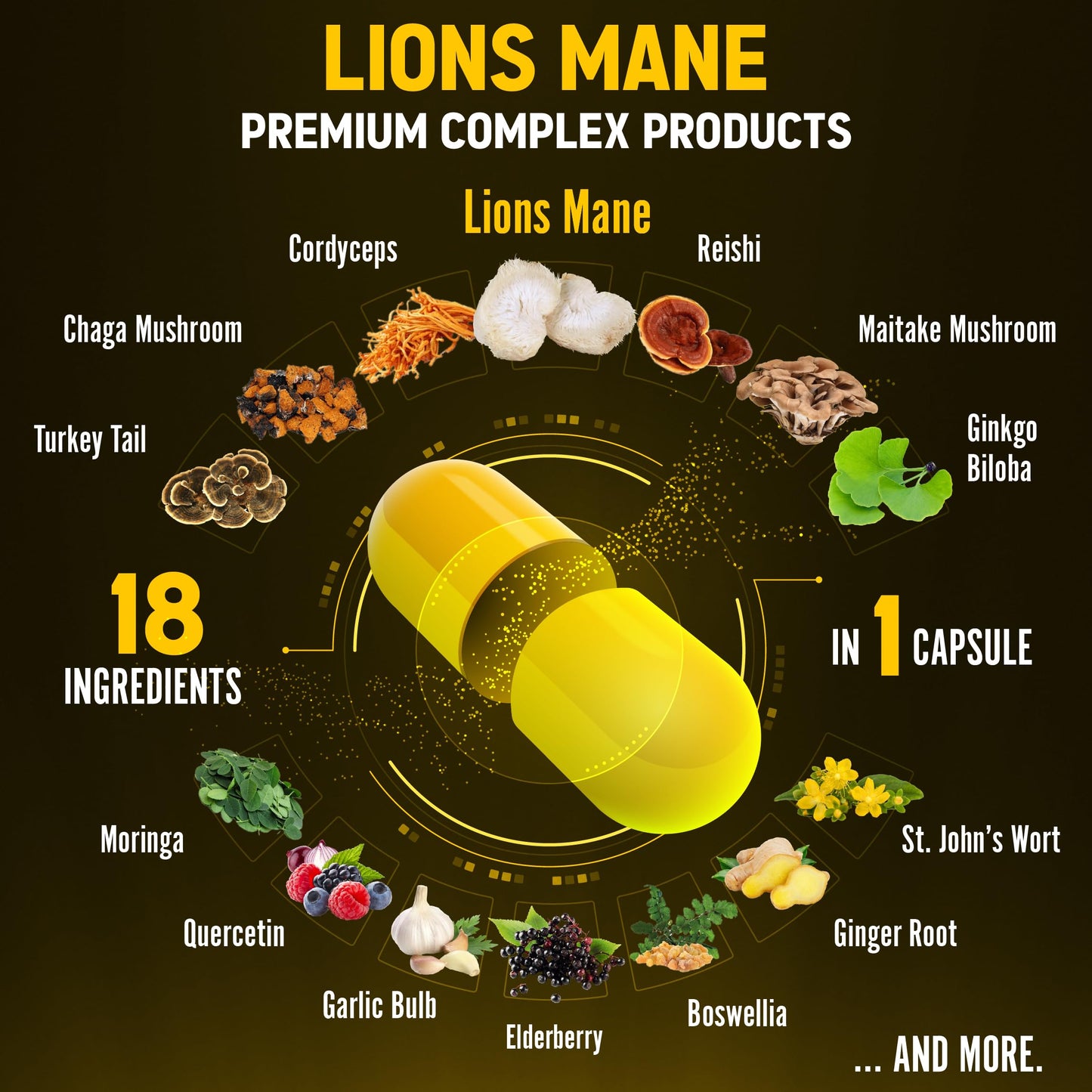 Zolotus Lions Mane Capsules with Cordyceps – 60 Count | Brain & Immune Support