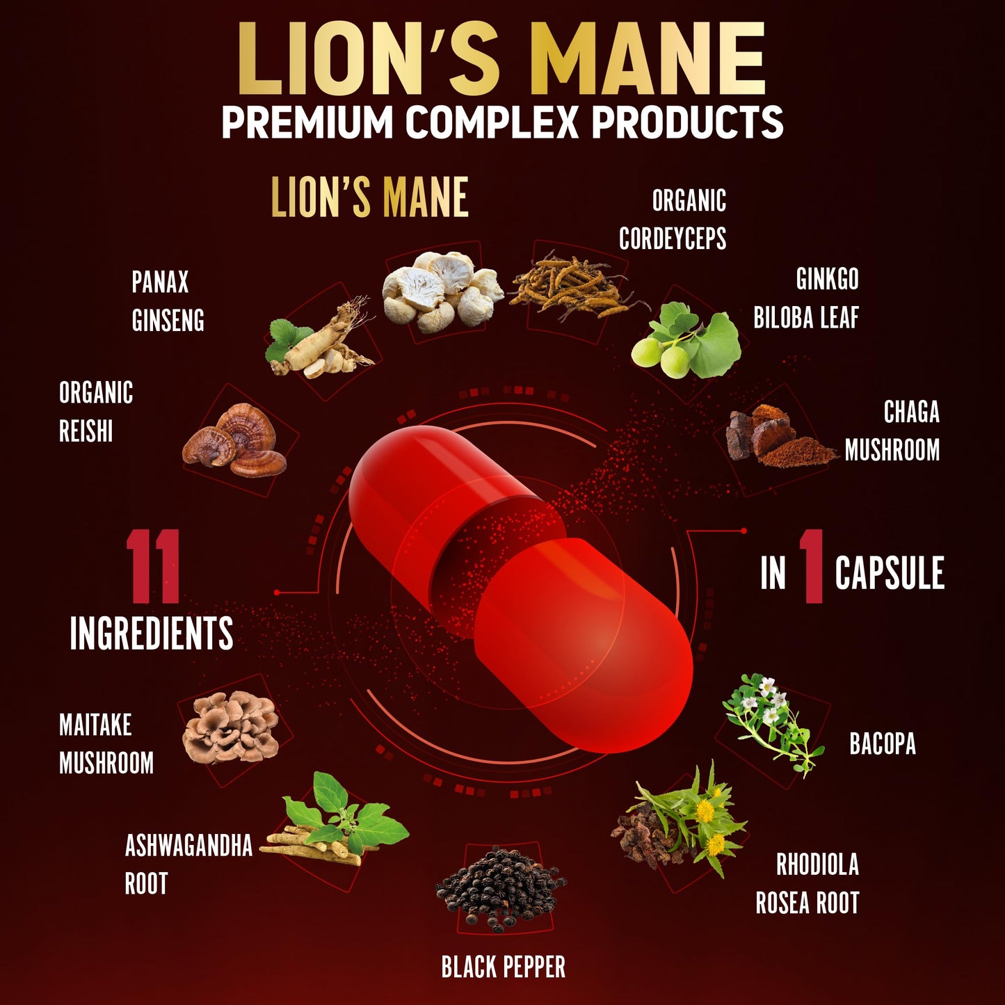 Zolotus 11 in 1 Lion's Mane Capsules – 3 Month Supply with Cordyceps, Reishi & Ginseng