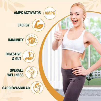 Zypherionixis Liposomal Berberine HCL Drops 3000mg – Sugar Free AMPK Activator (2 oz)